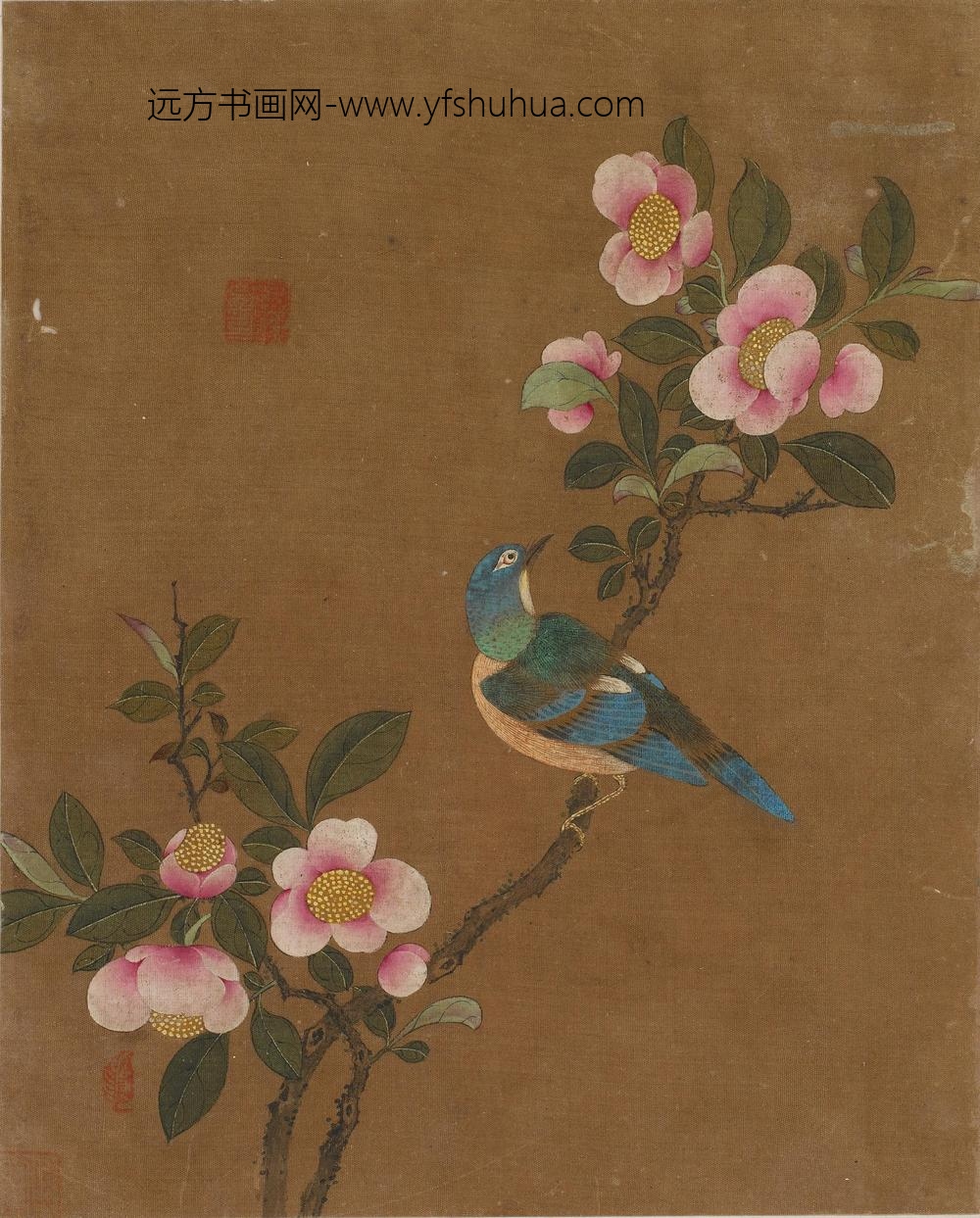 花鸟图册十开_