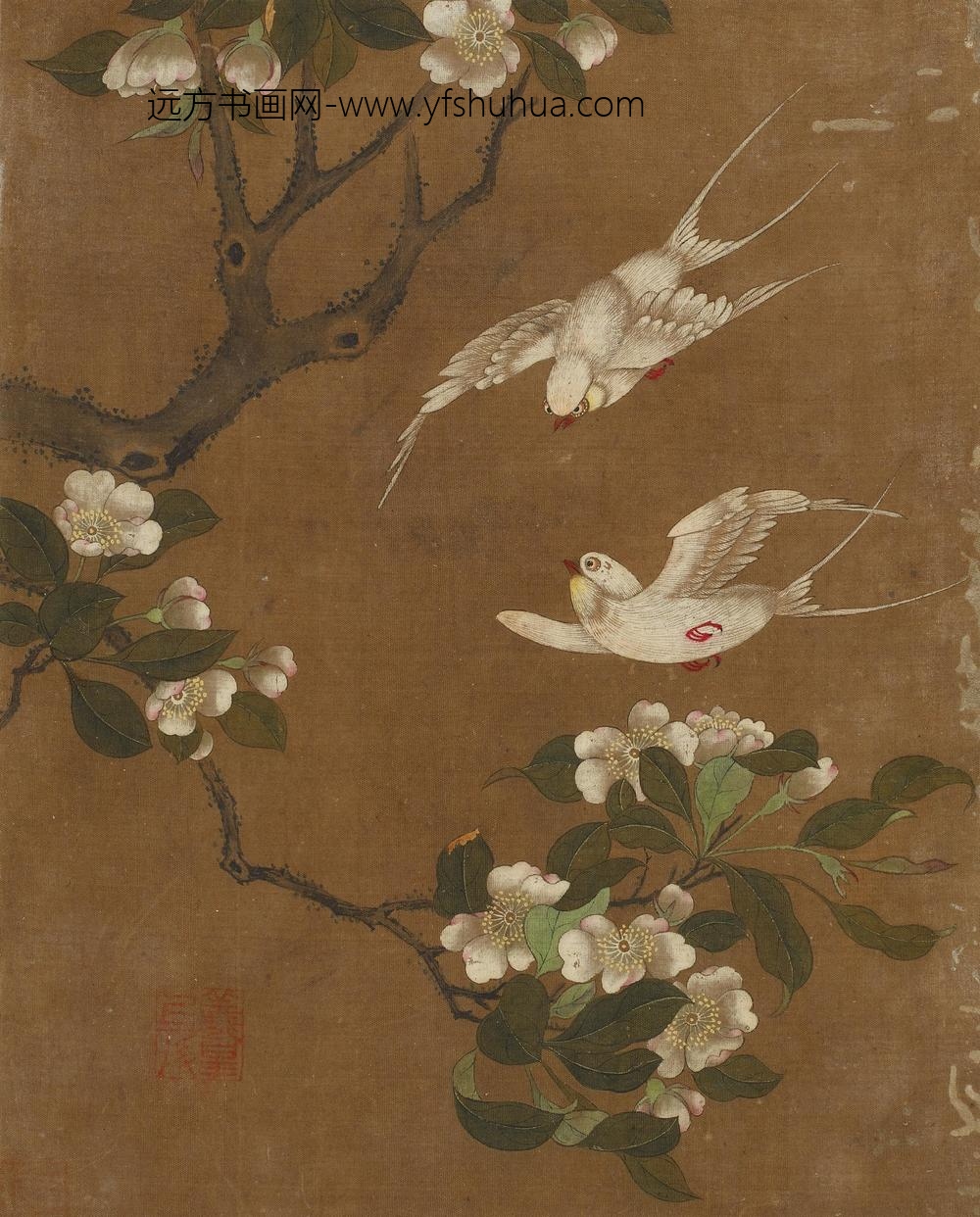 花鸟图册十开_