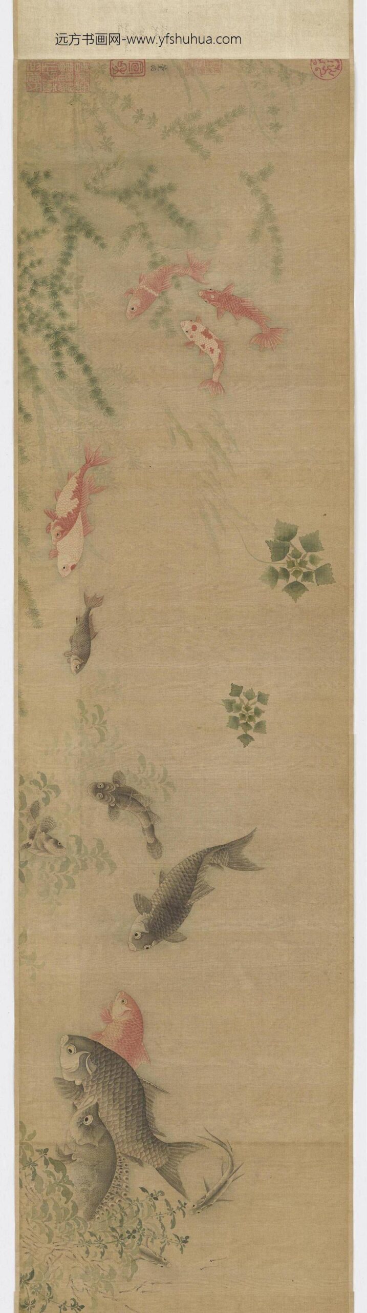 董瑜_溪鱼图卷_