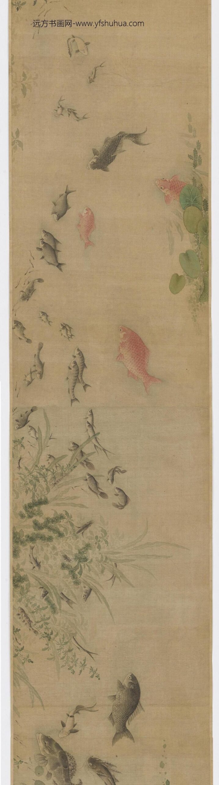 董瑜_溪鱼图卷_