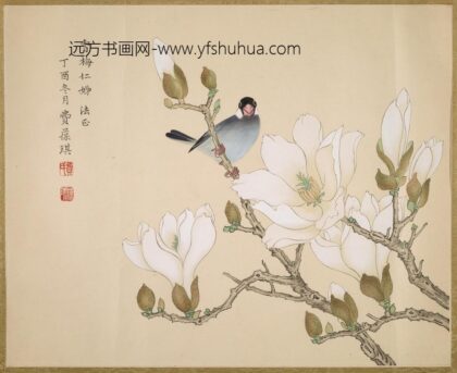 费葆琪 玉兰栖禽图.jpg