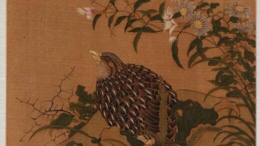 赵伯驹 鹌鹑花卉图.jpg