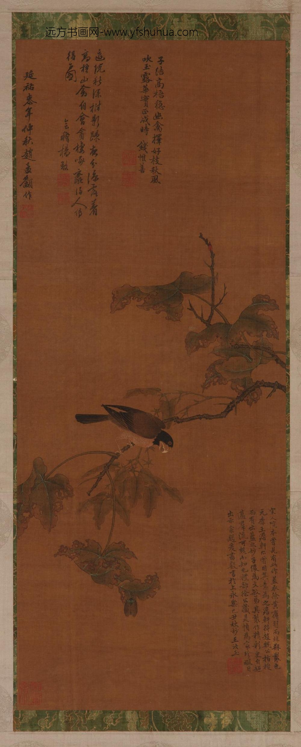 赵孟俯_枝禽图