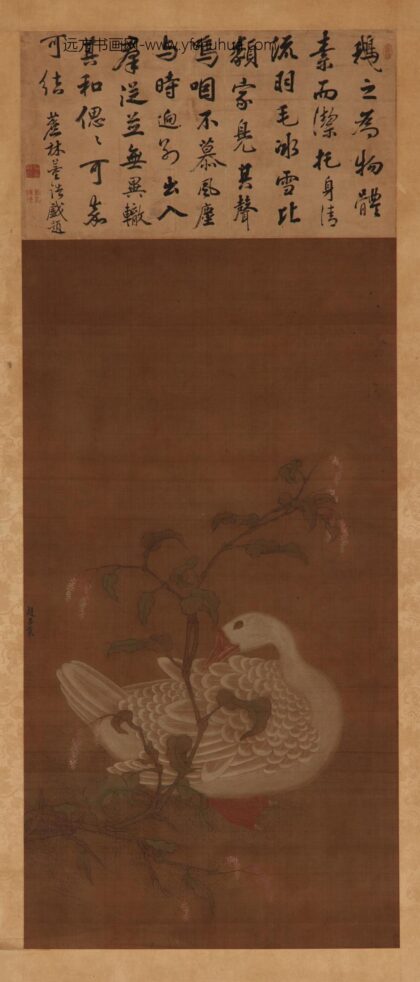 赵昌 白鹅蓼花图.jpg