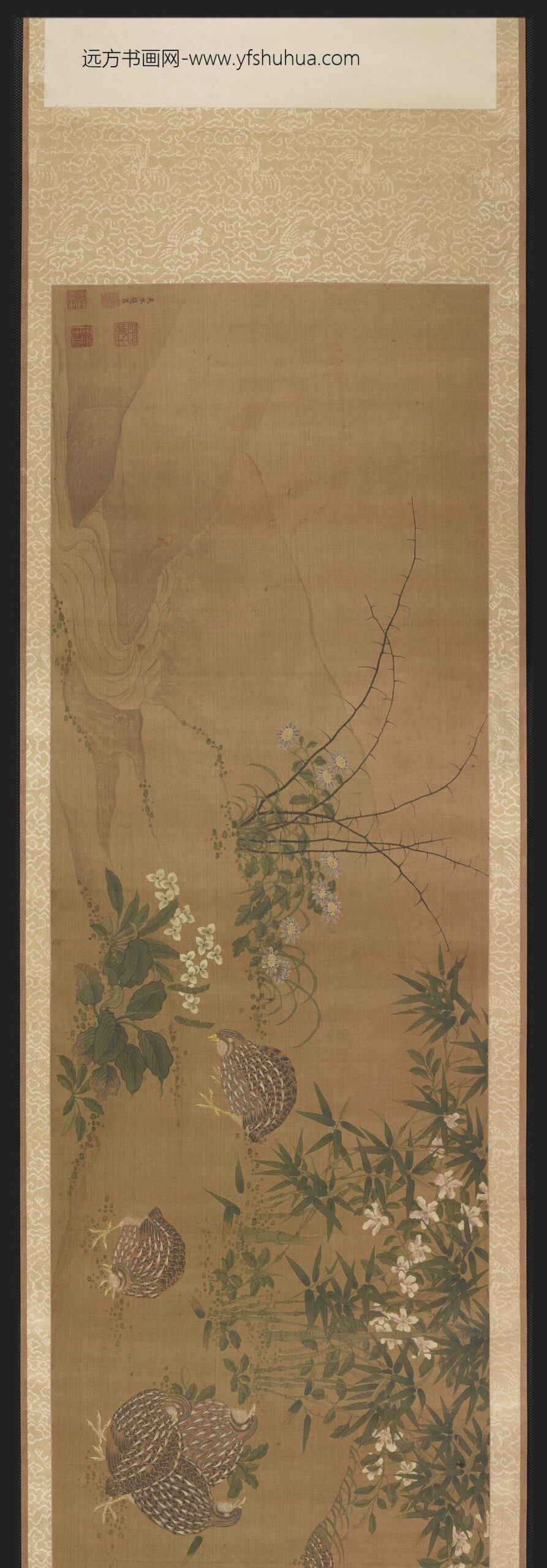 赵昌_花禽鸭鹑图卷_