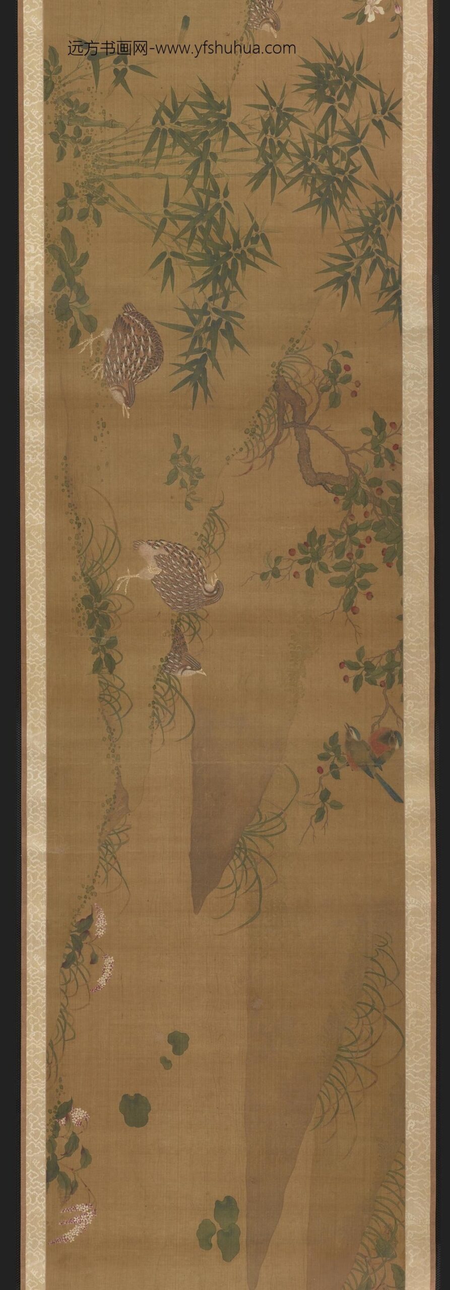 赵昌_花禽鸭鹑图卷_