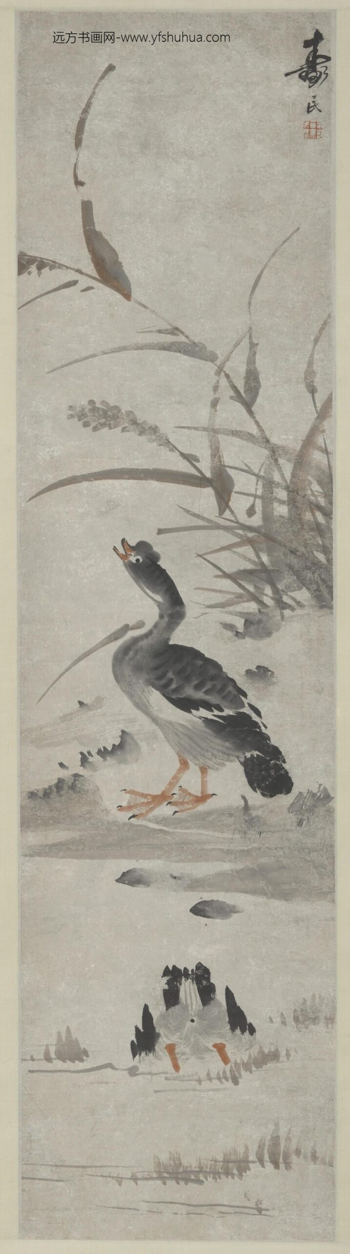 边寿民_芦雁图