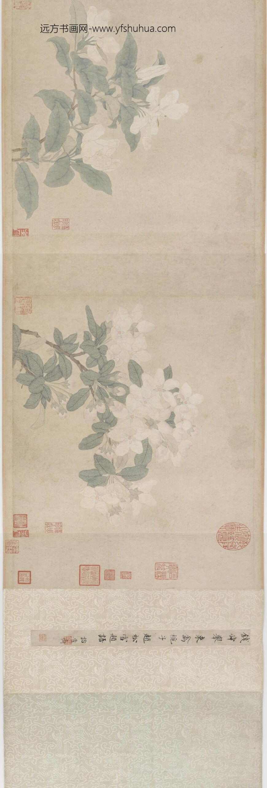 钱选_来禽栀子图卷（赵雪松题语）_