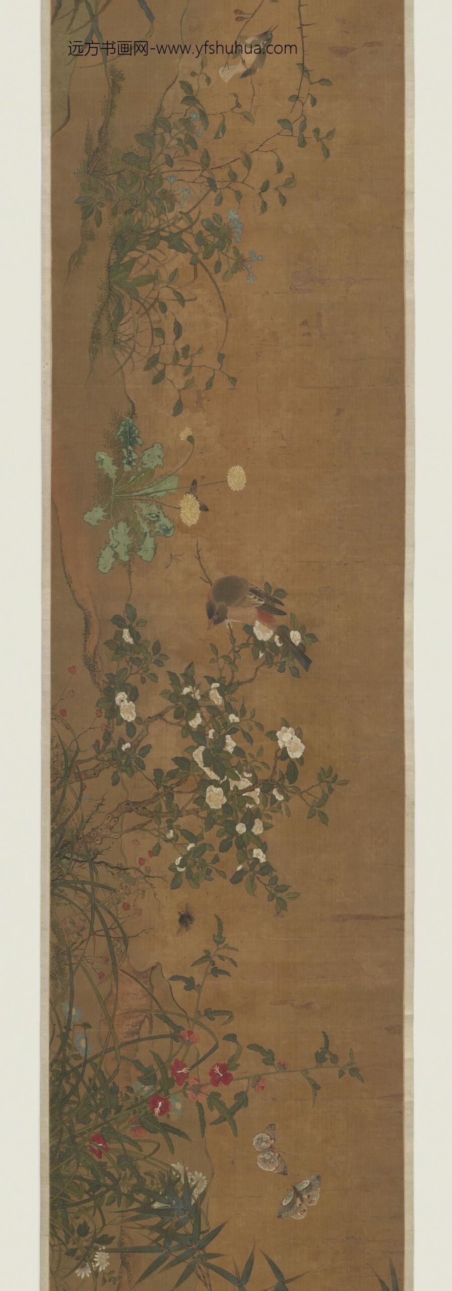 钱选_花鸟虫草图_