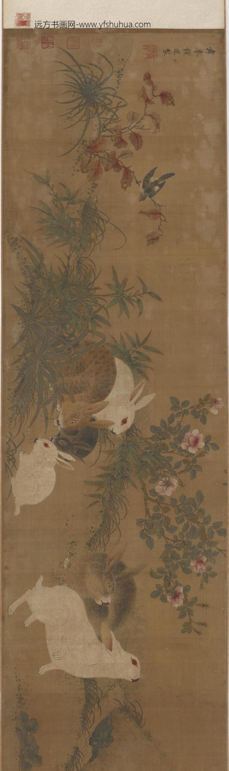 钱选_花鸟野兔图_