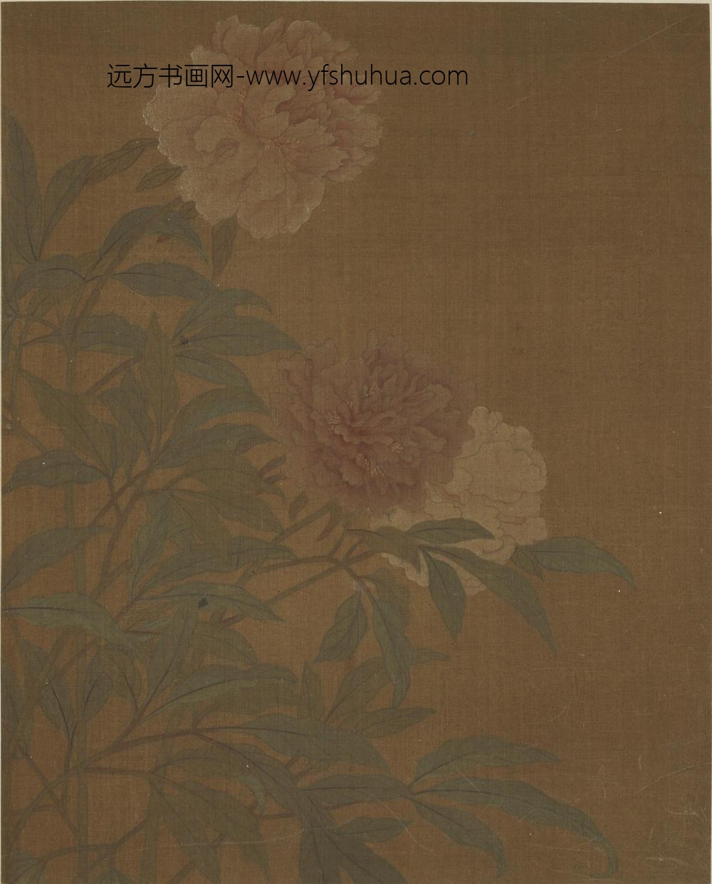 黄居寀_花卉图册八开_