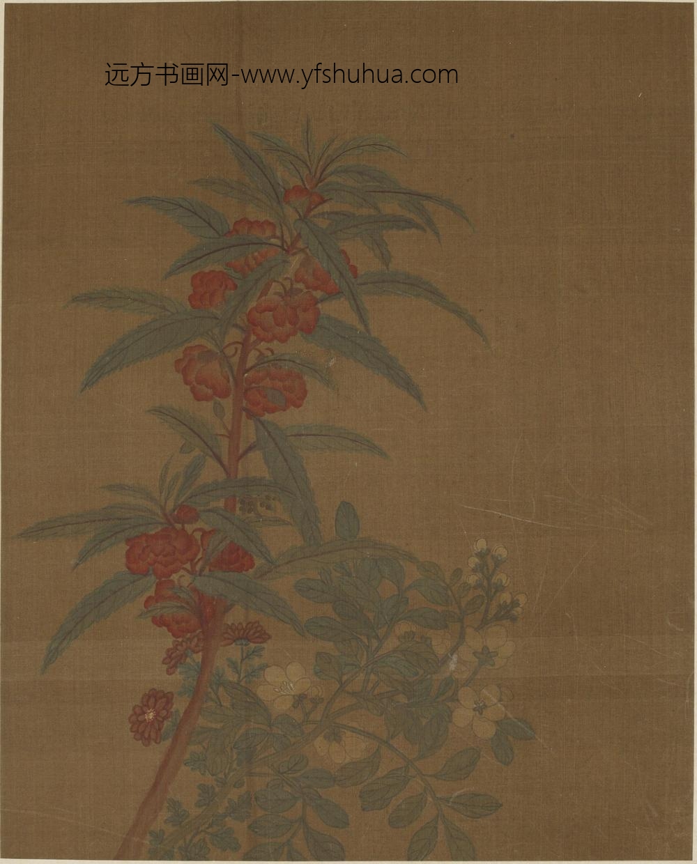 黄居寀_花卉图册八开_