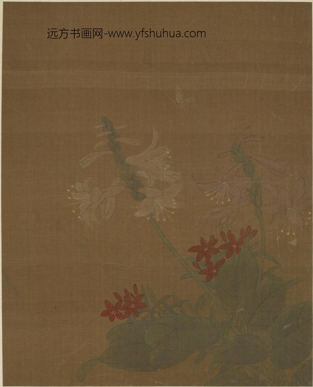 黄居寀_花卉图册八开_