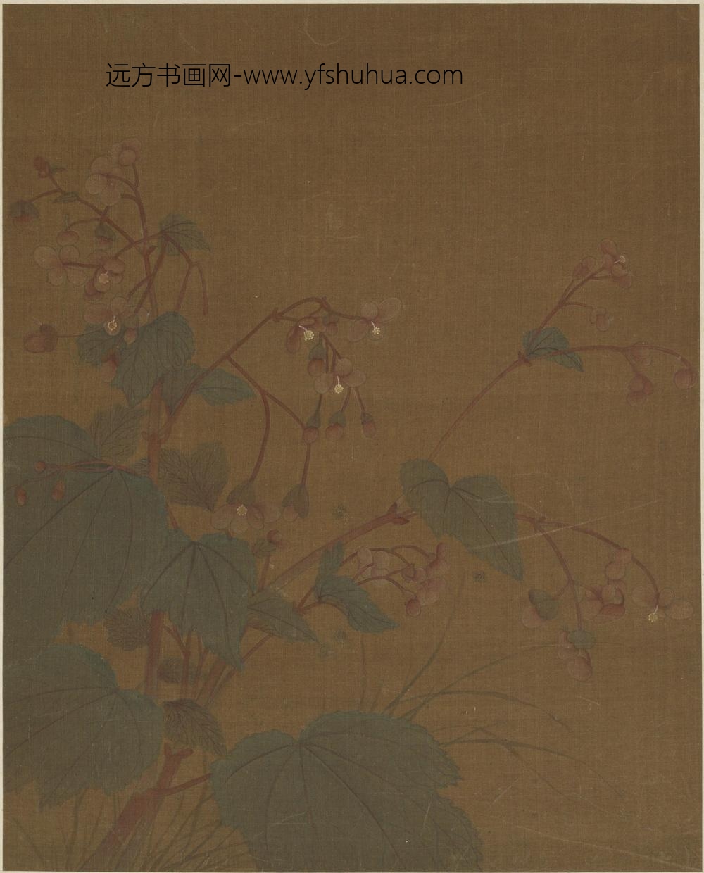黄居寀_花卉图册八开_