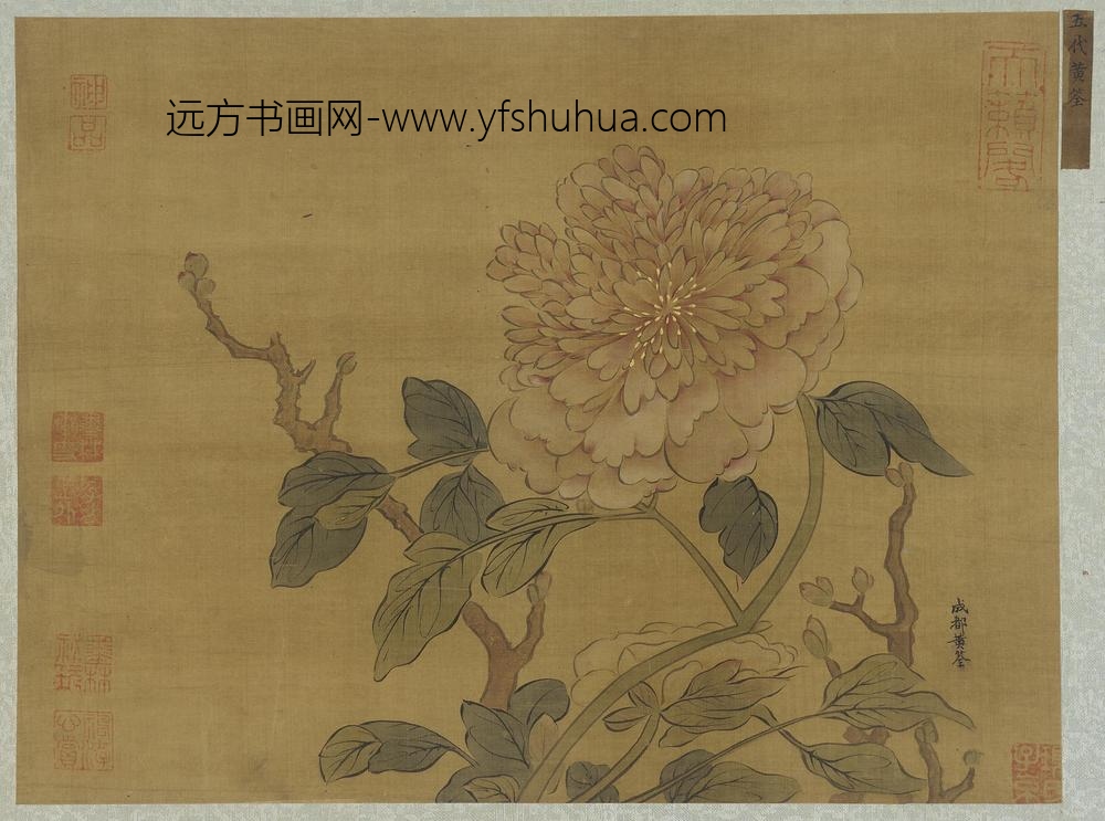 黄筌（荃）_牡丹独卉图