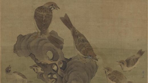 黄筌（荃） 育雏麻雀图 1.jpg