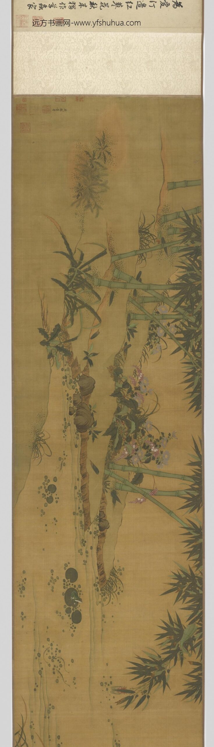 黄筌（荃）_花卉草虫图卷_