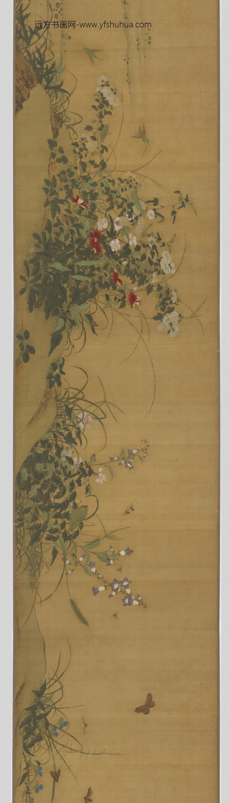 黄筌（荃）_花卉草虫图卷_
