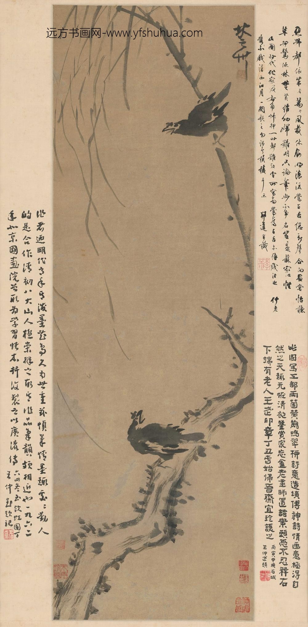 佚名_黄鹂栖树图立轴