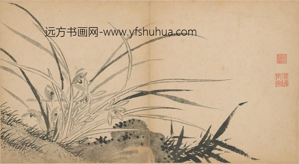 孙克弘_兰花图