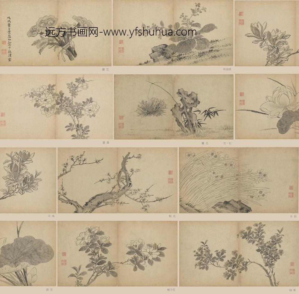 孙克弘_花卉册页_