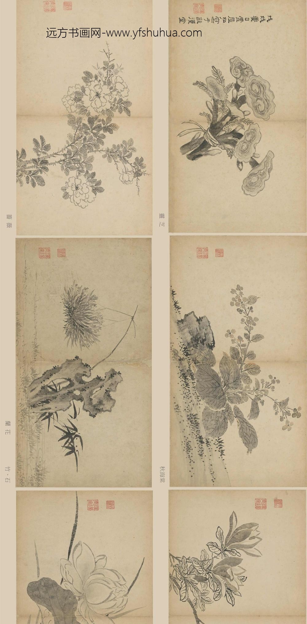 孙克弘_花卉册页__