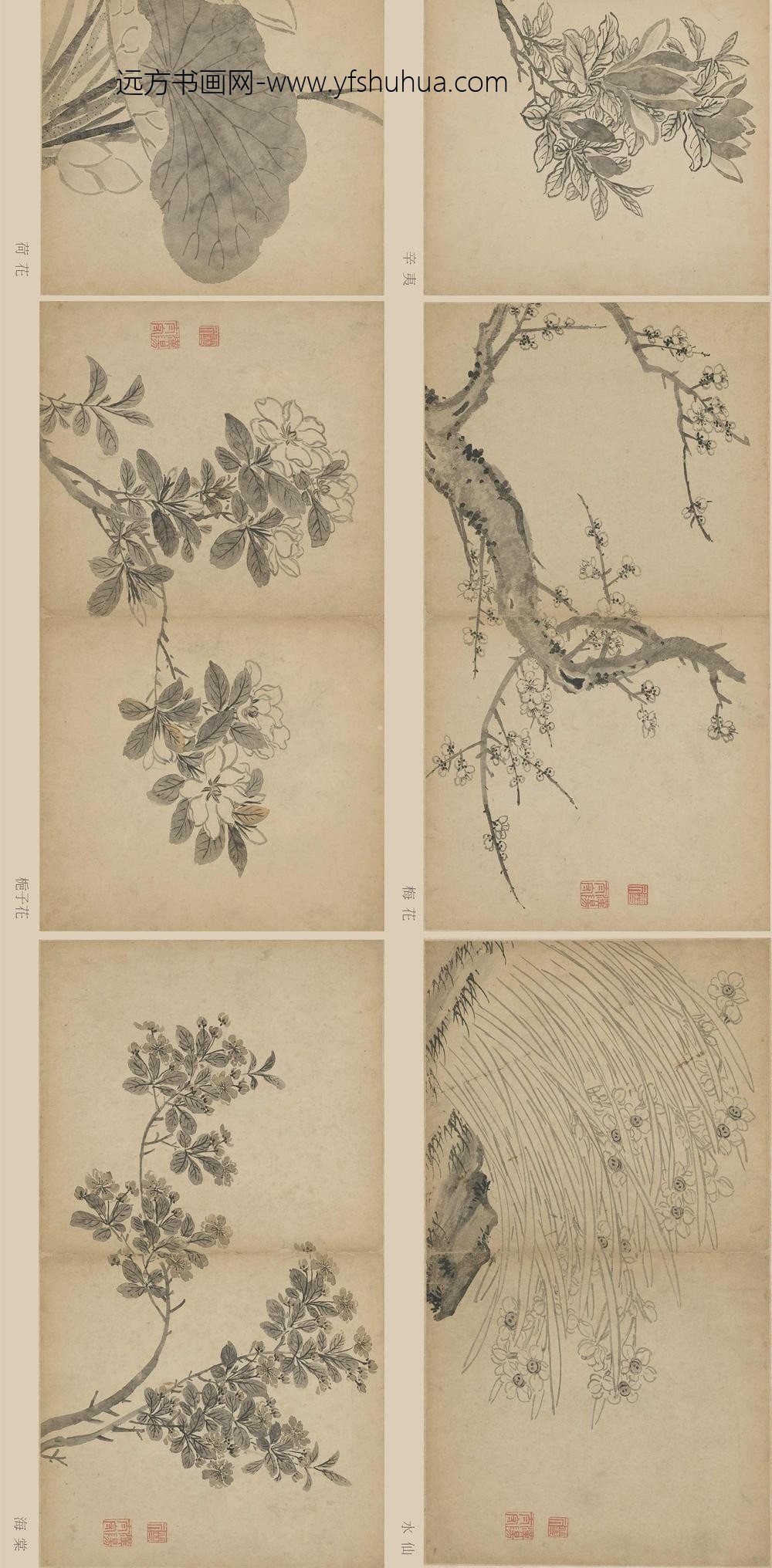 孙克弘_花卉册页__