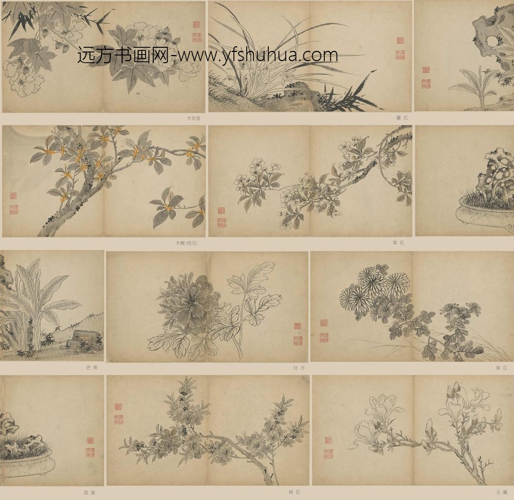 孙克弘_花卉册页_
