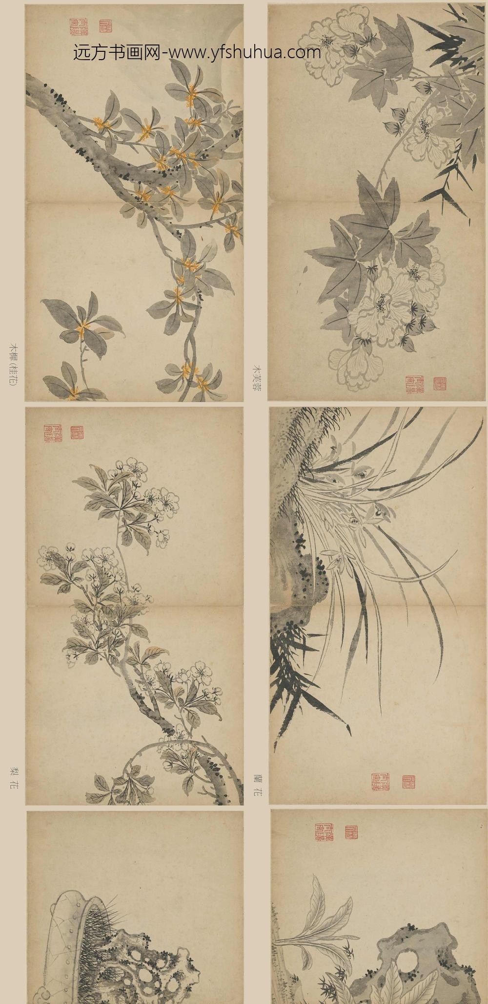 孙克弘_花卉册页__