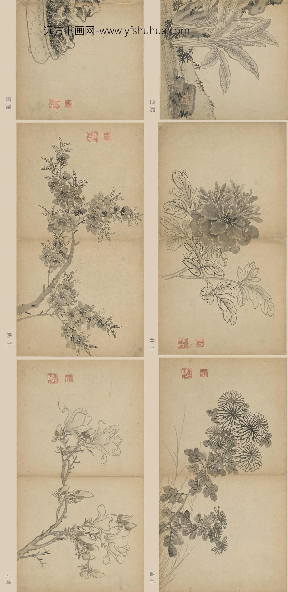 孙克弘_花卉册页__
