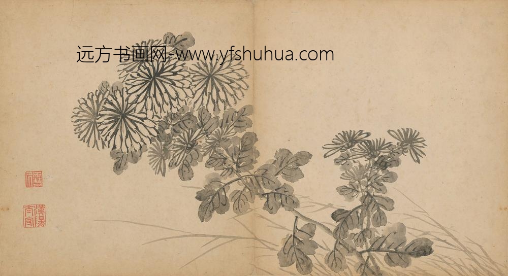 孙克弘_菊花图