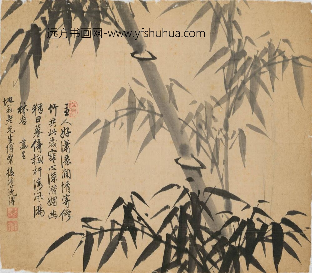 沈溥_画竹并诗