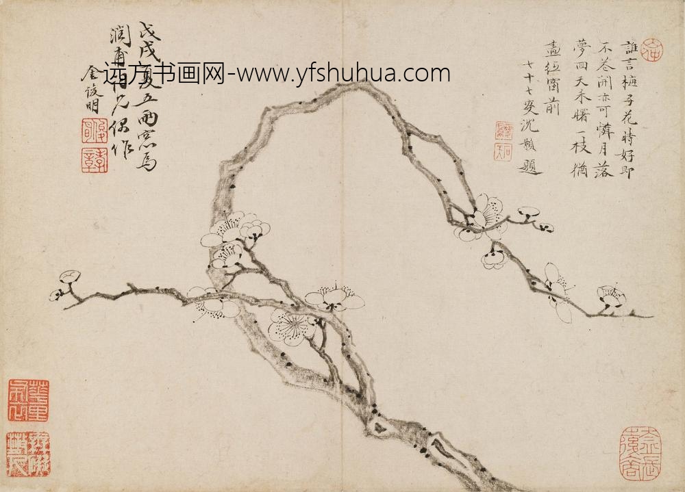 沈颢_题金俊明梅花册_