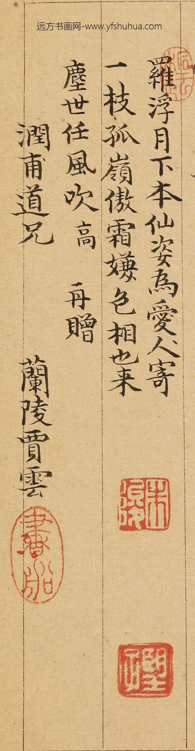 贾云_题金俊明梅花
