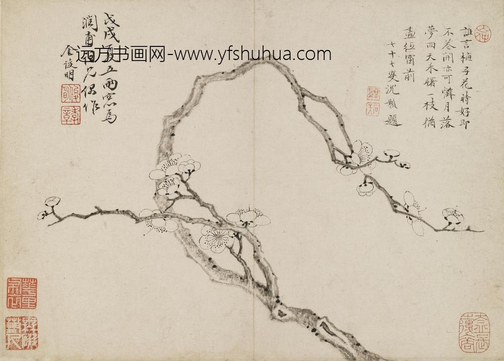 金俊明_梅花册_