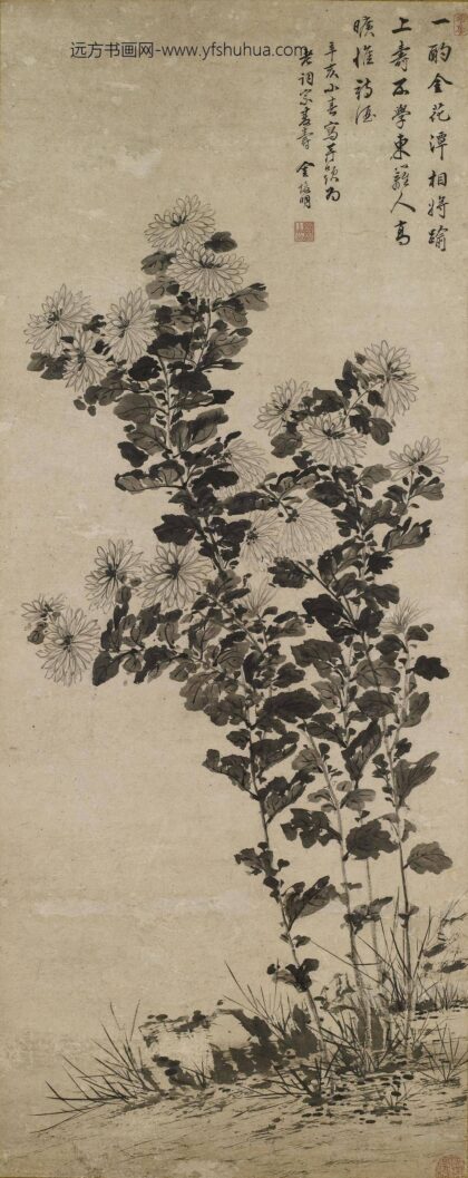 金俊明 菊花立轴 1.jpg