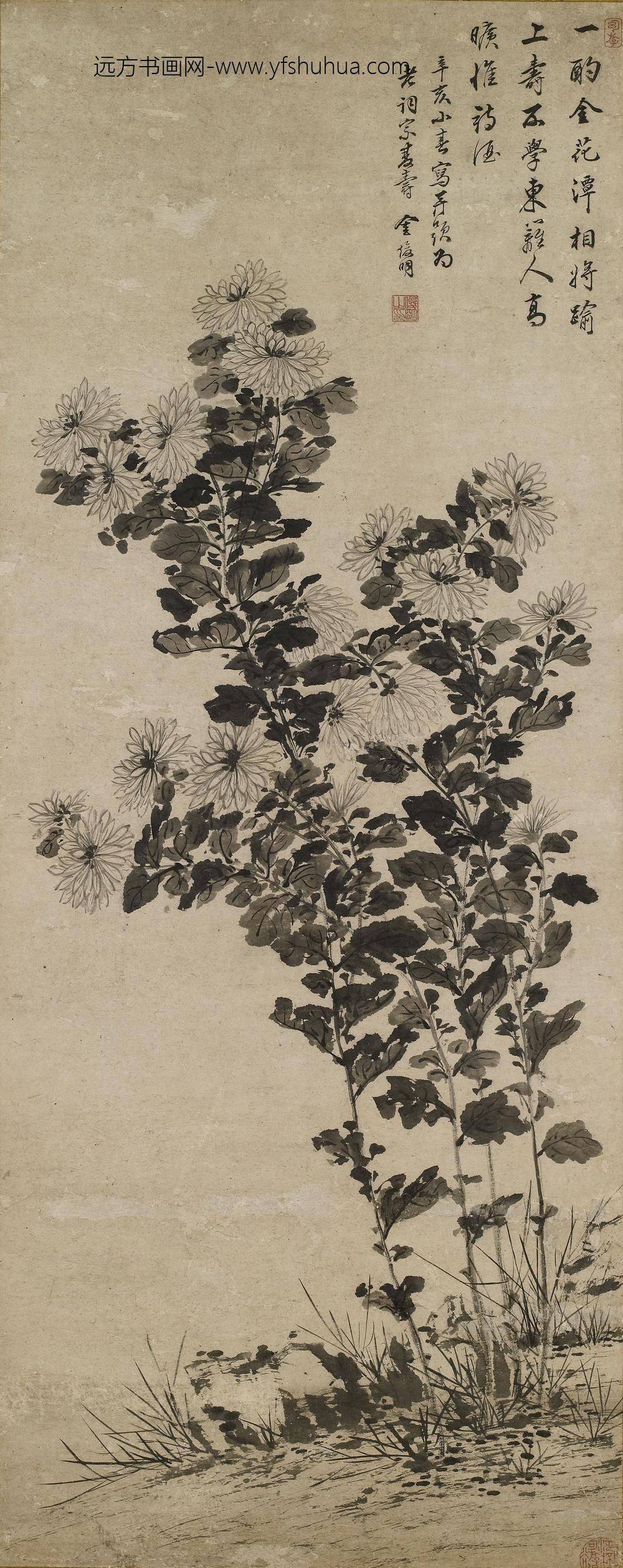 金俊明_菊花立轴_