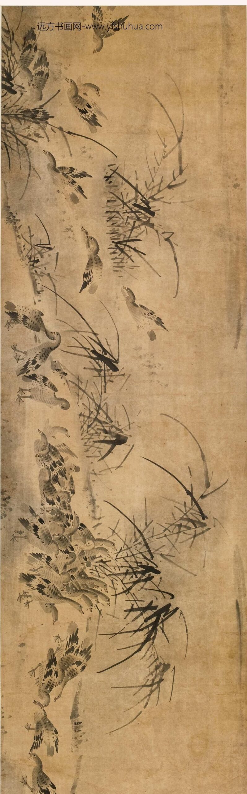 陈应麟_芦雁图卷_