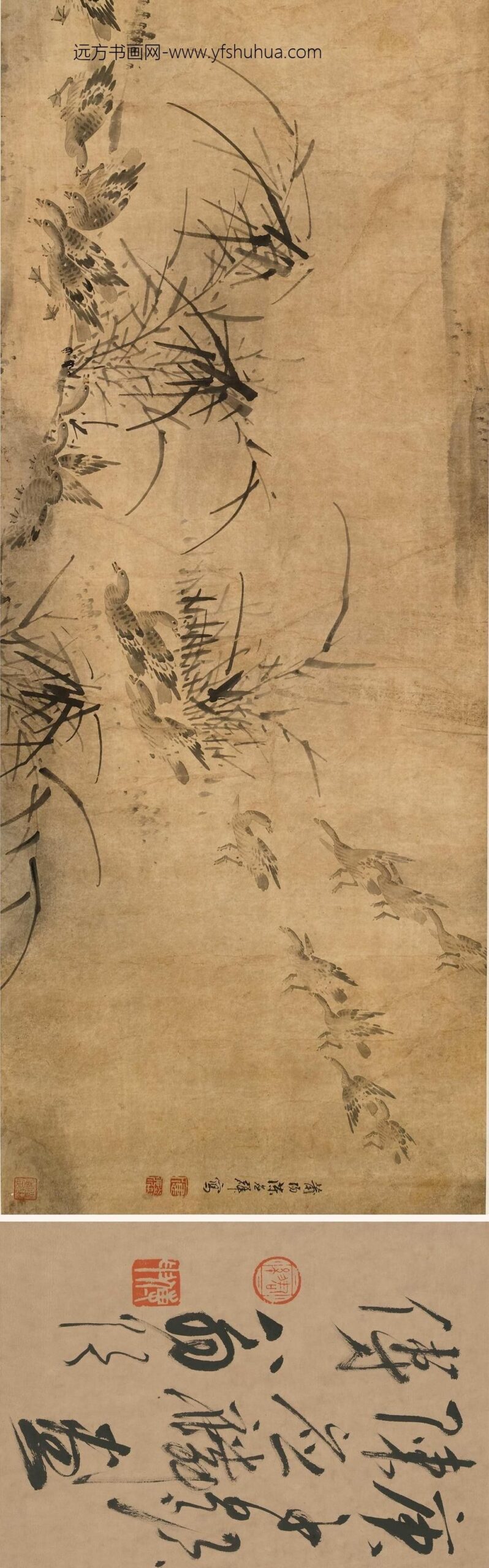 陈应麟_芦雁图卷_