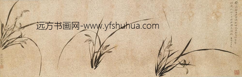 顾横波-顾媚（顾眉）_兰花图卷