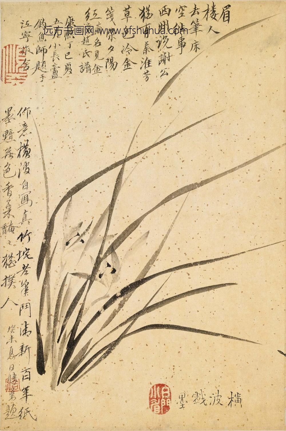 顾横波-顾媚（顾眉）_兰花图立轴