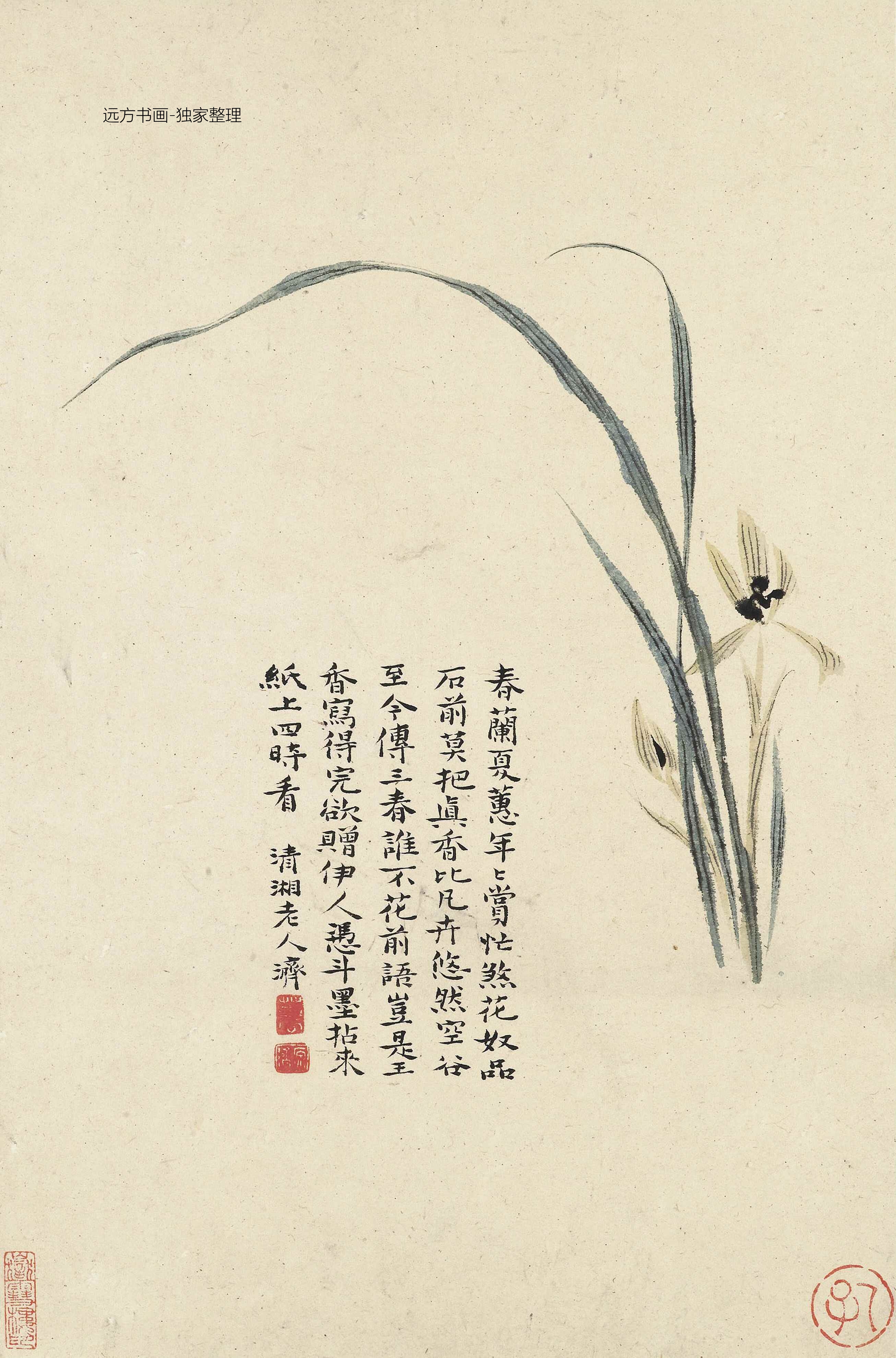 清朝代【石涛】《花卉册十帧（10开）》TIF高清大图中国画古画素材下载