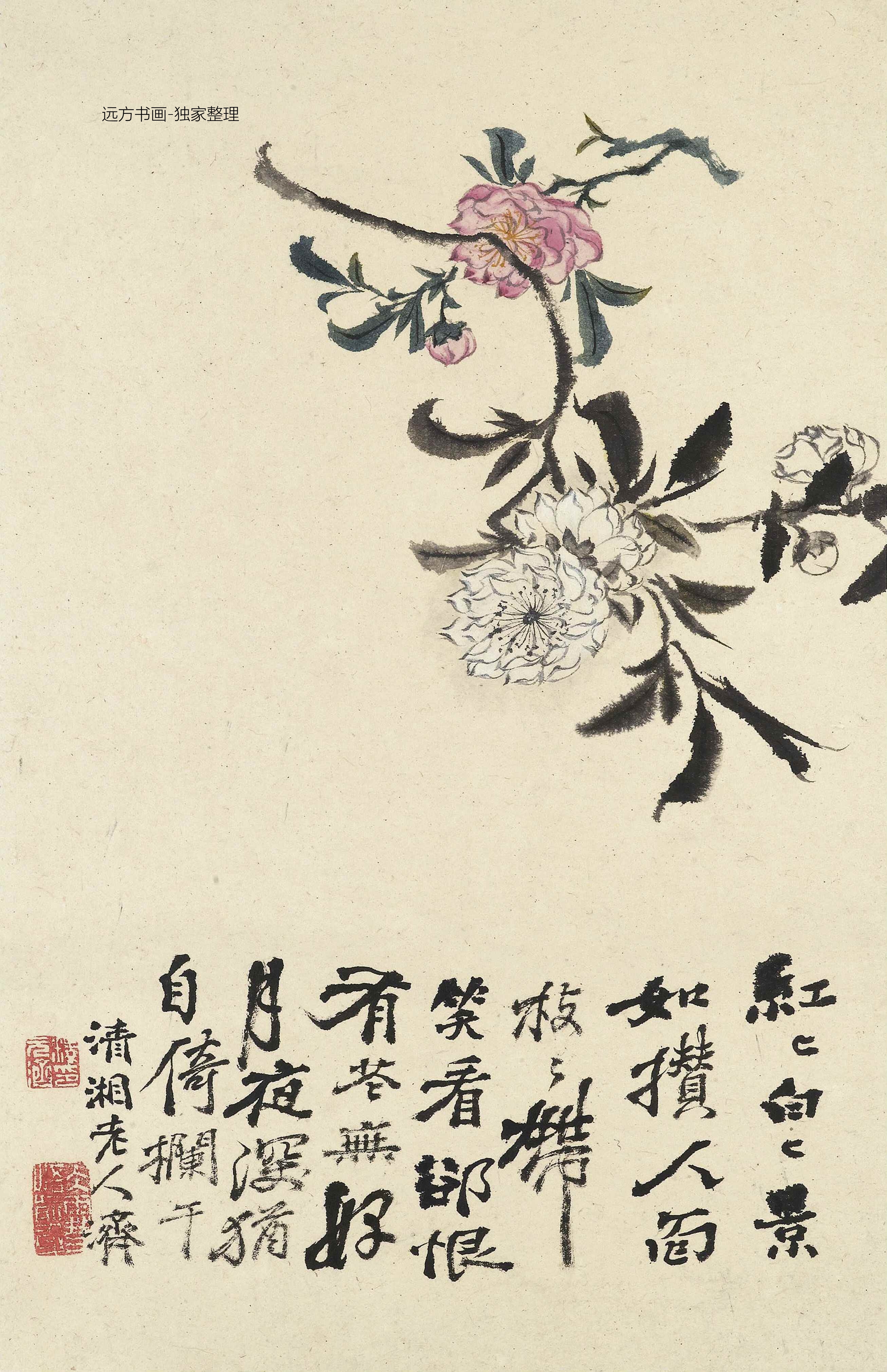 清朝代【石涛】《花卉册十帧（10开）》TIF高清大图中国画古画素材下载