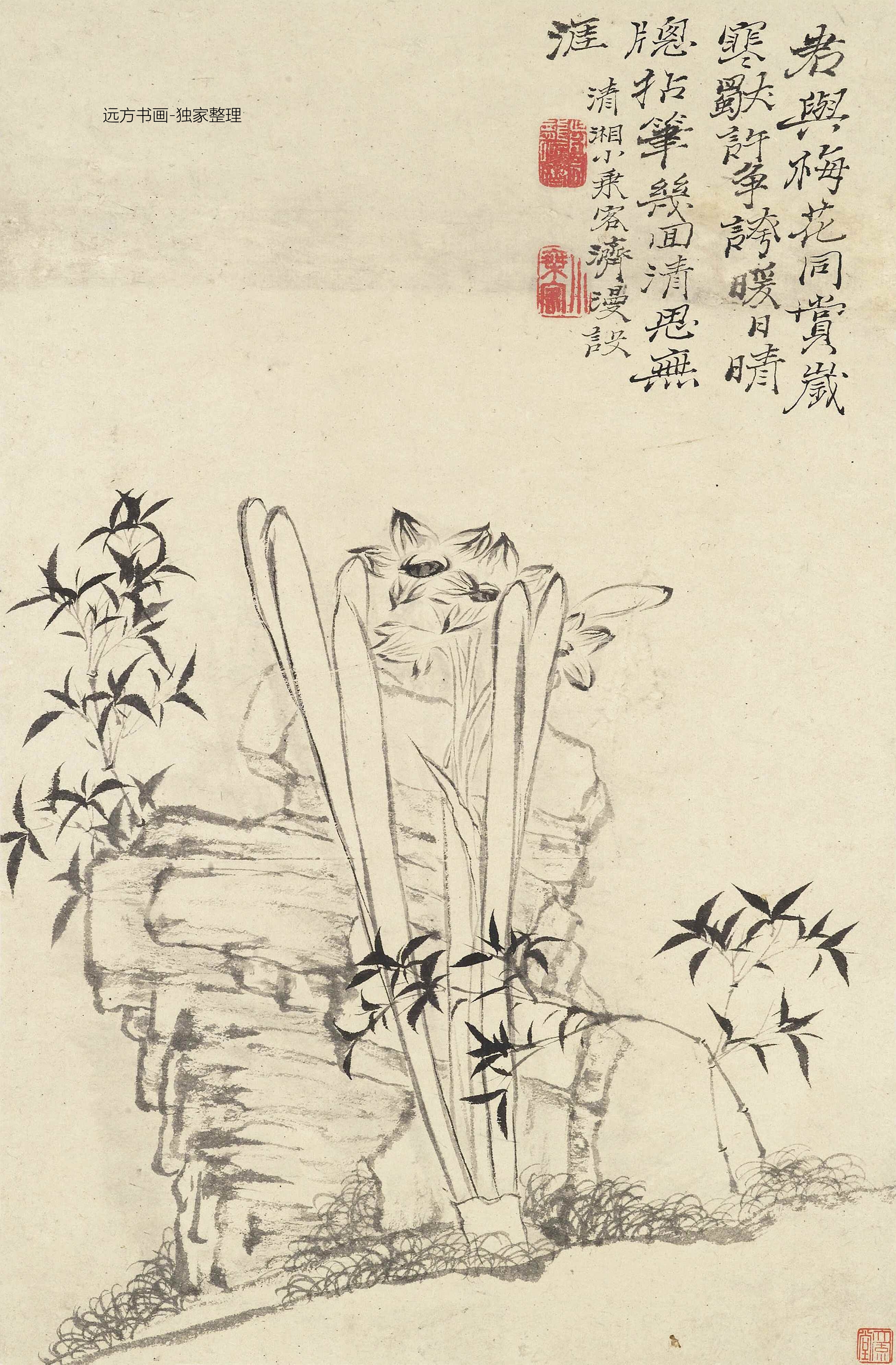 清朝代【石涛】《花卉册十帧（10开）》TIF高清大图中国画古画素材下载