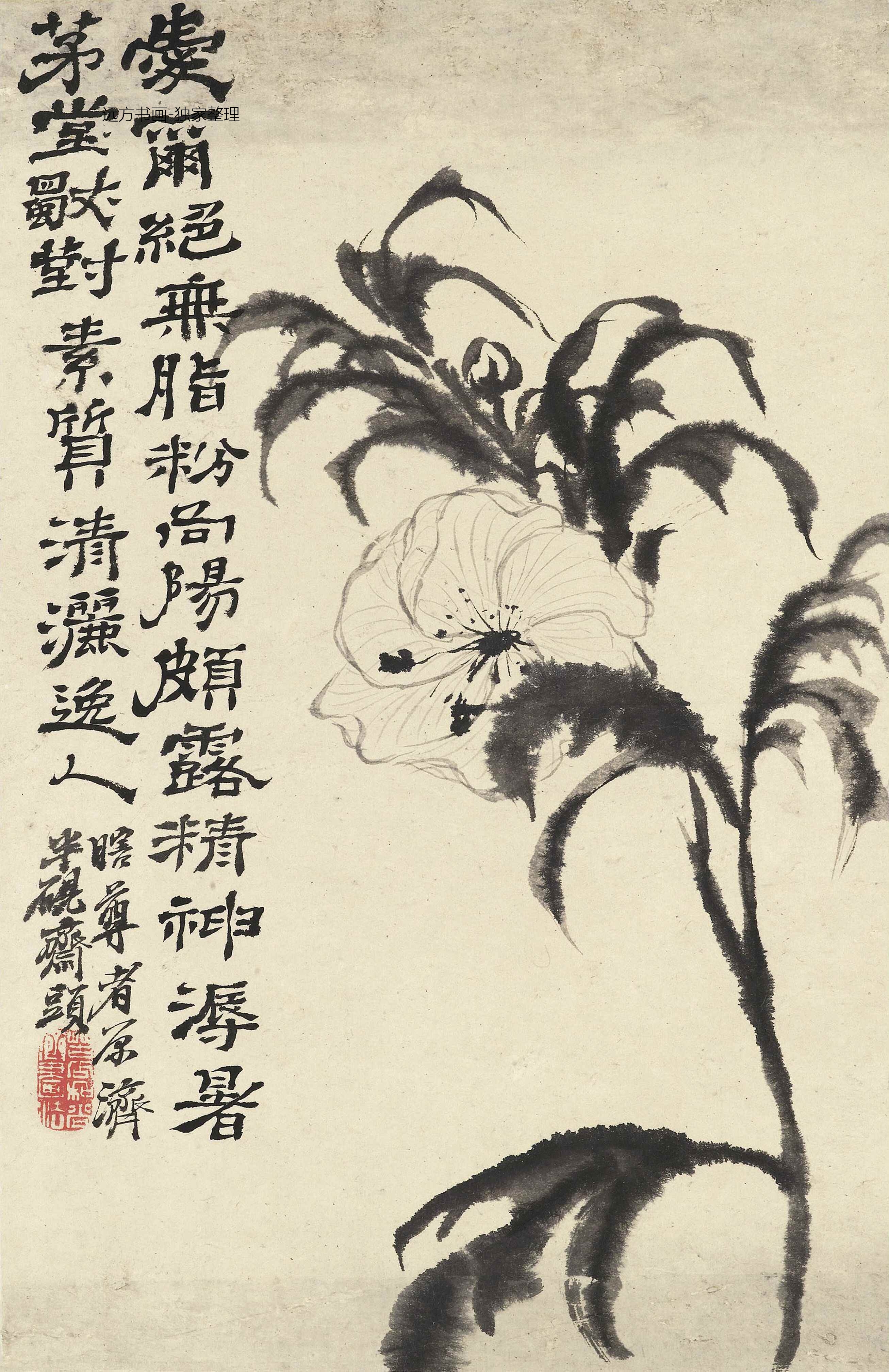 清朝代【石涛】《花卉册十帧（10开）》TIF高清大图中国画古画素材下载