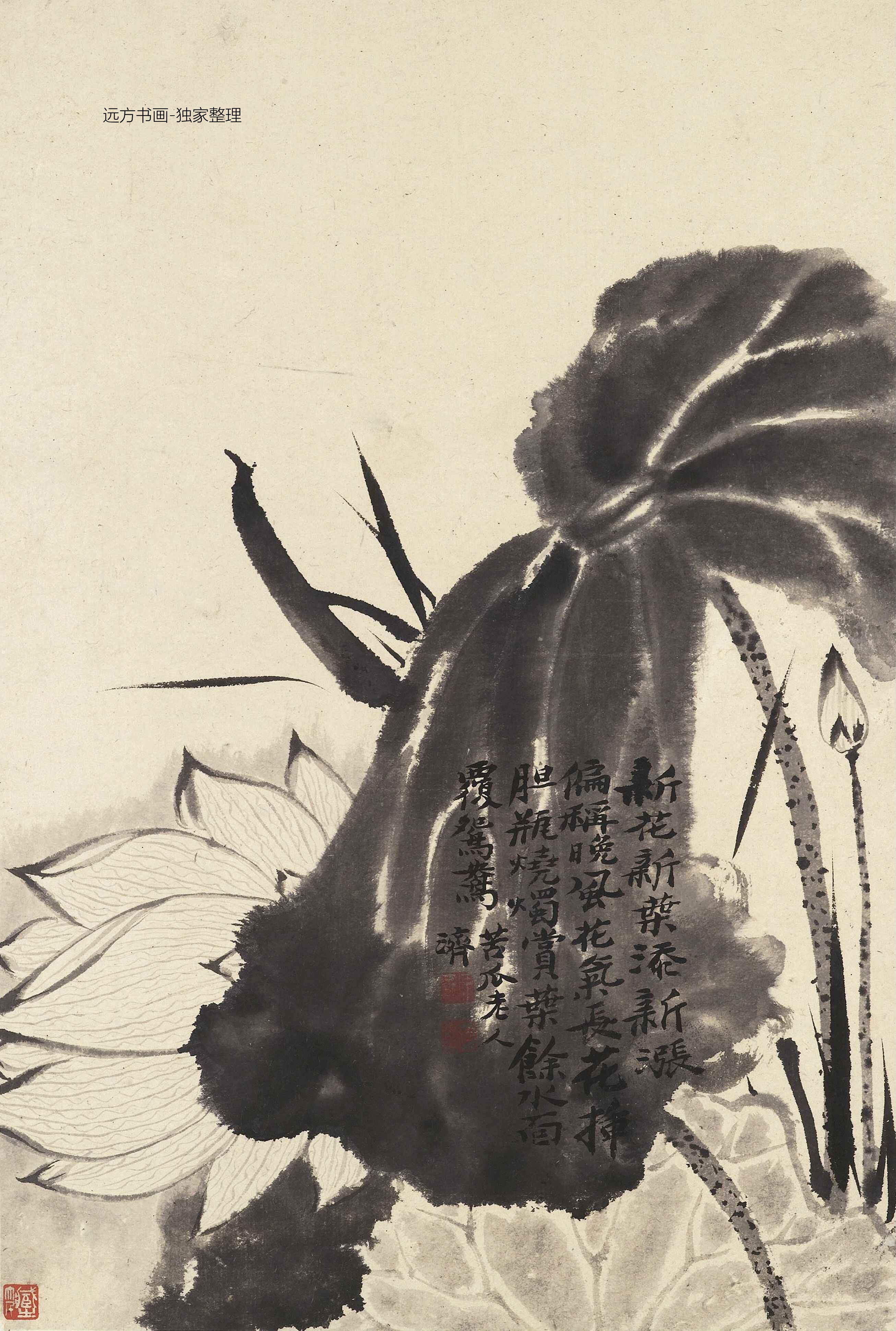 清朝代【石涛】《花卉册十帧（10开）》TIF高清大图中国画古画素材下载