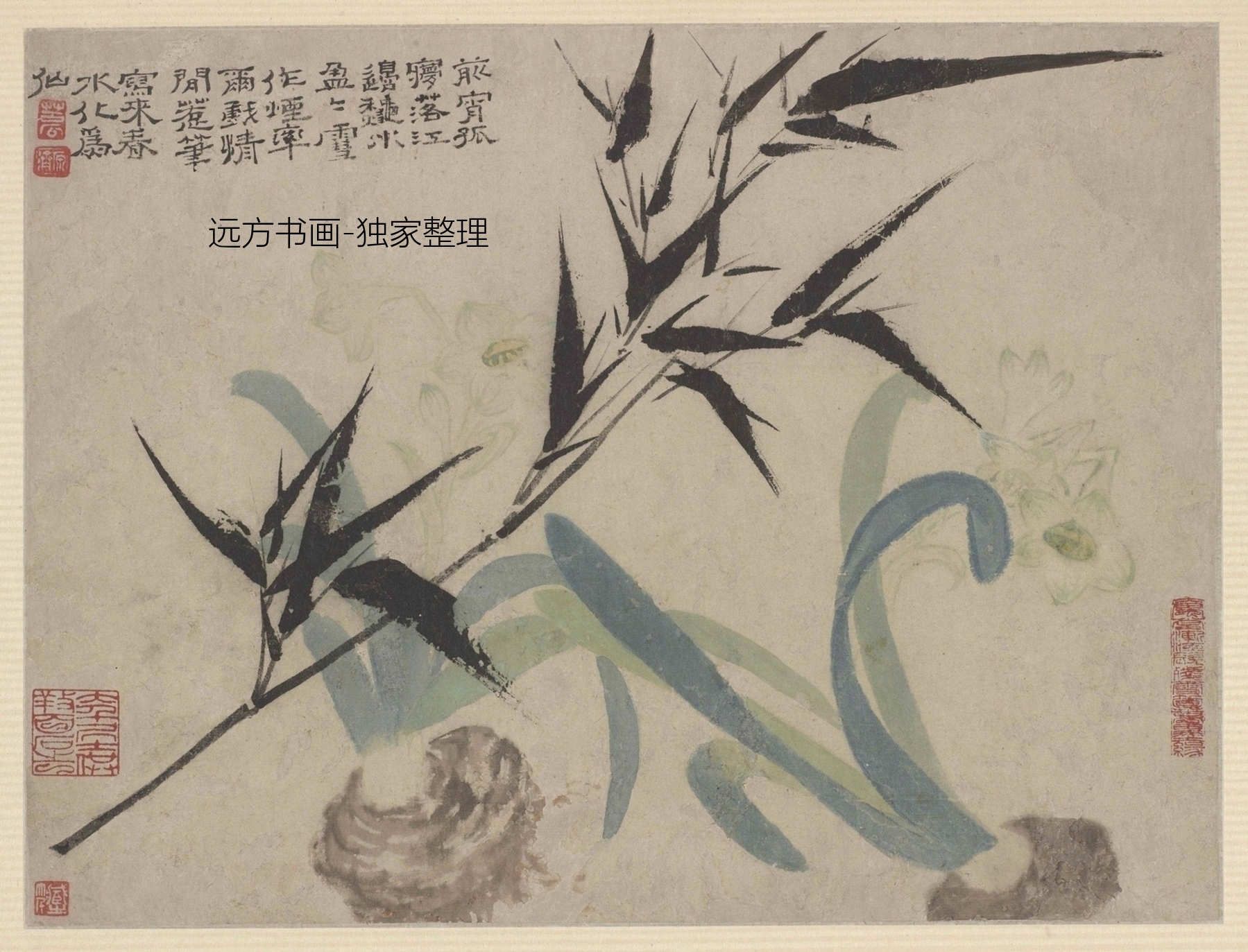 清朝代【石涛】《花鸟图册10帧（10开）》TIF高清大图中国画古画素材下载