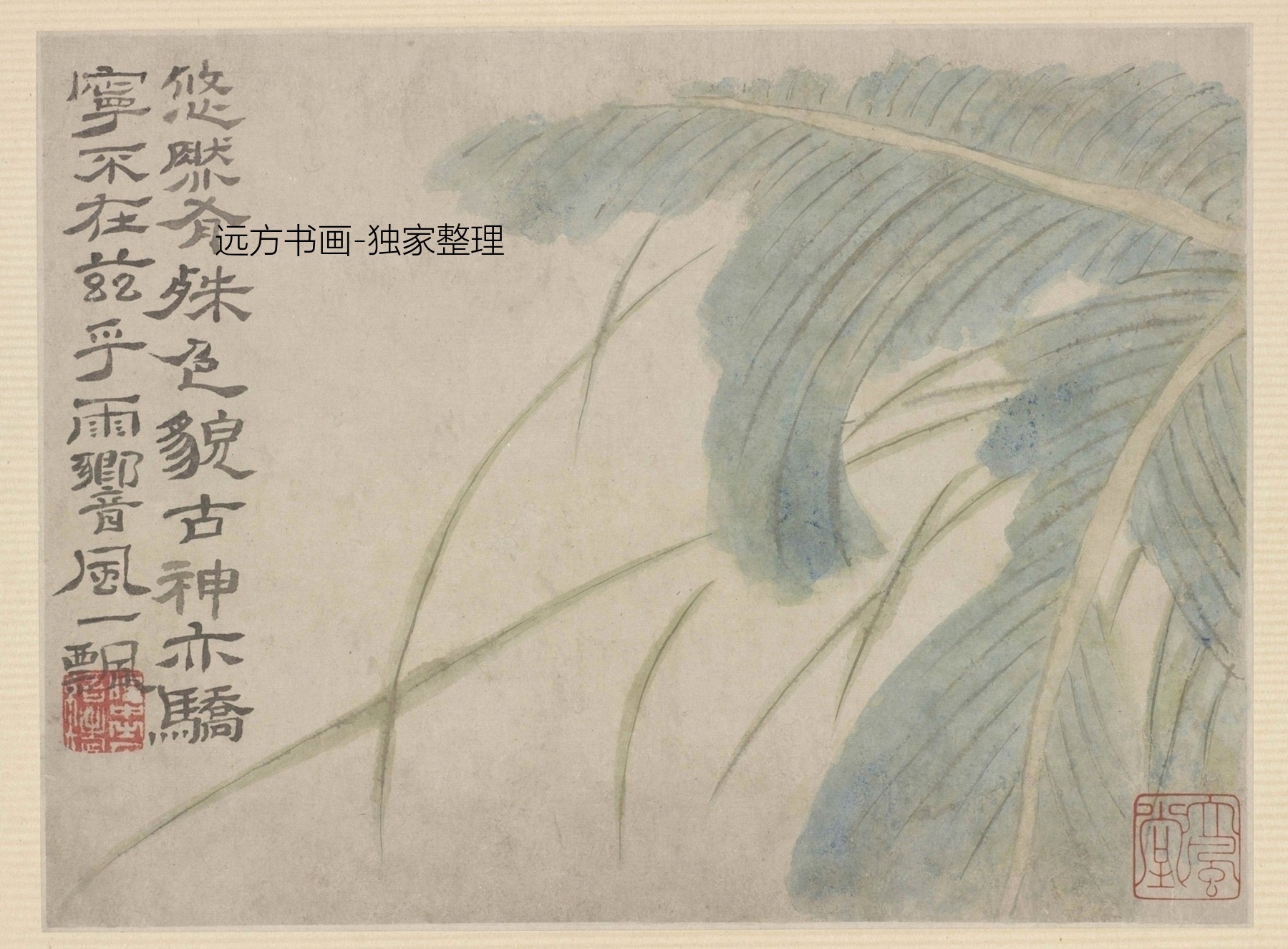 清朝代【石涛】《花鸟图册10帧（10开）》TIF高清大图中国画古画素材下载