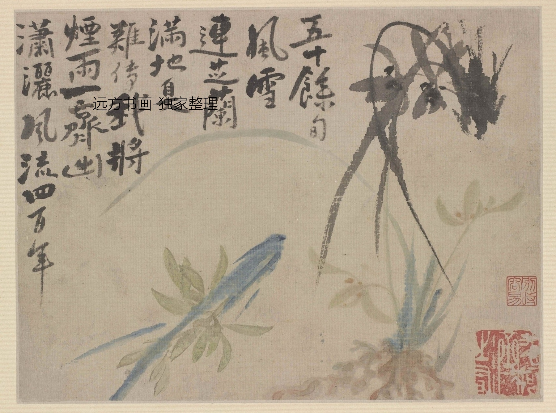 清朝代【石涛】《花鸟图册10帧（10开）》TIF高清大图中国画古画素材下载