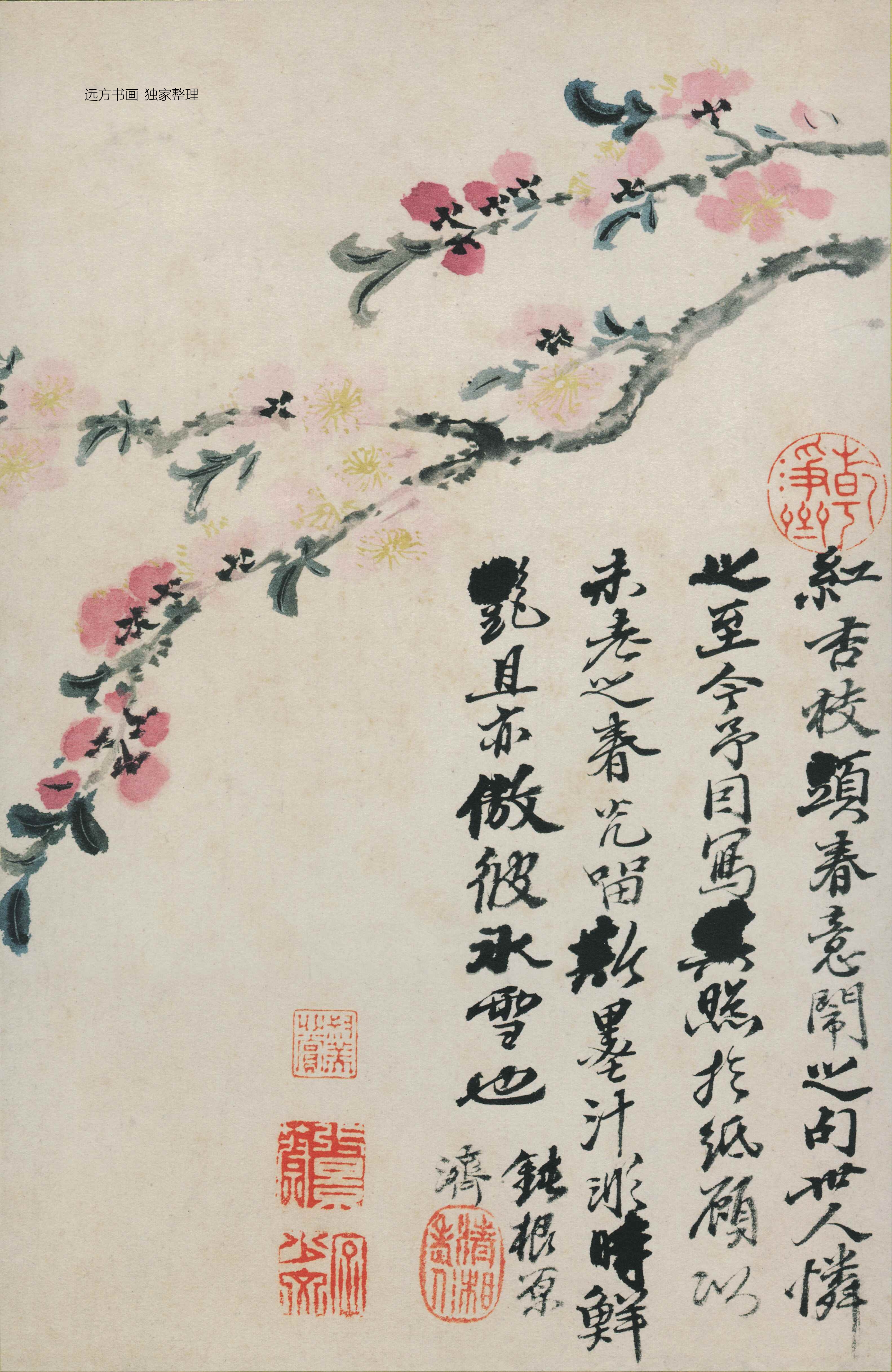 清朝代【石涛】《花鸟图册12开》TIF高清大图中国画古画素材下载